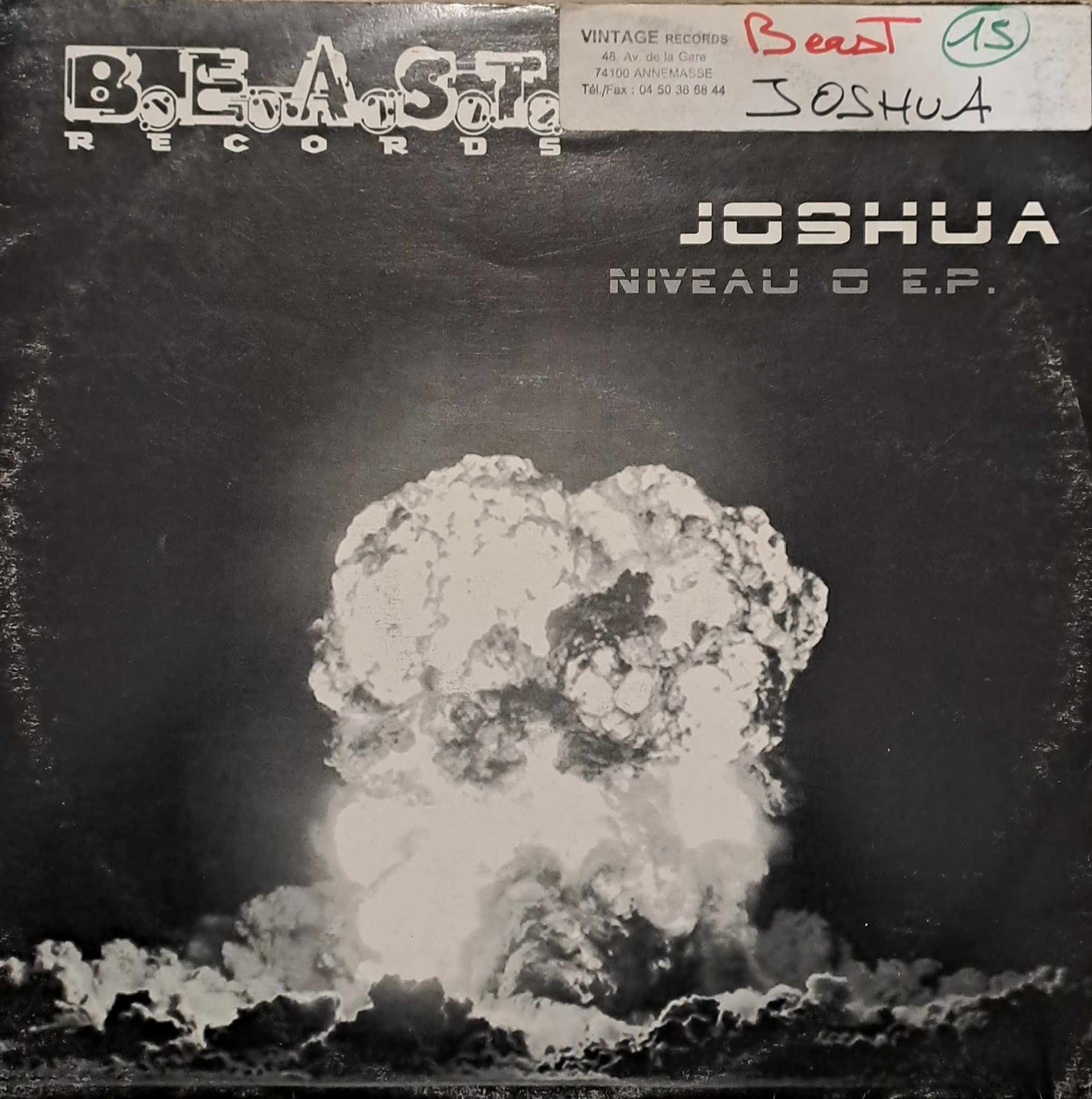 B.E.A.S.T. 15 - vinyle hardcore